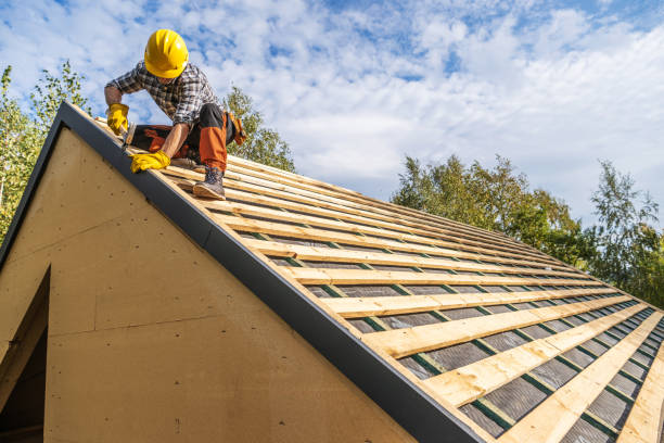 Best Storm Damage Roof Repair  in Graceville, FL